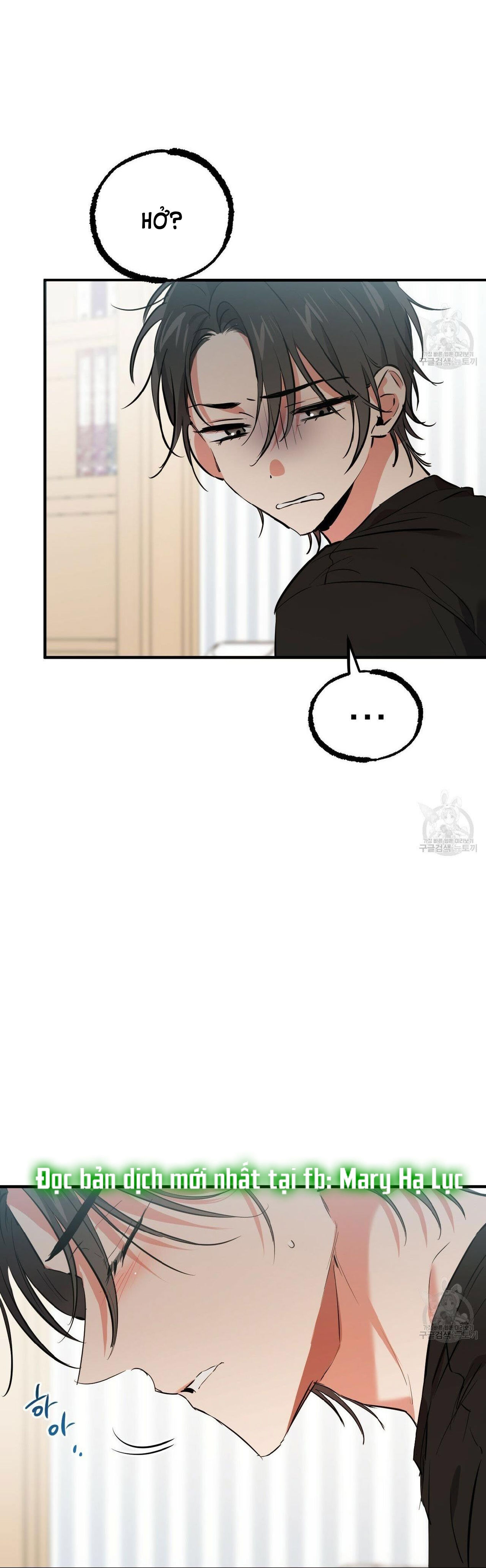 những chú thỏ của hapypy chapter 52.1 17