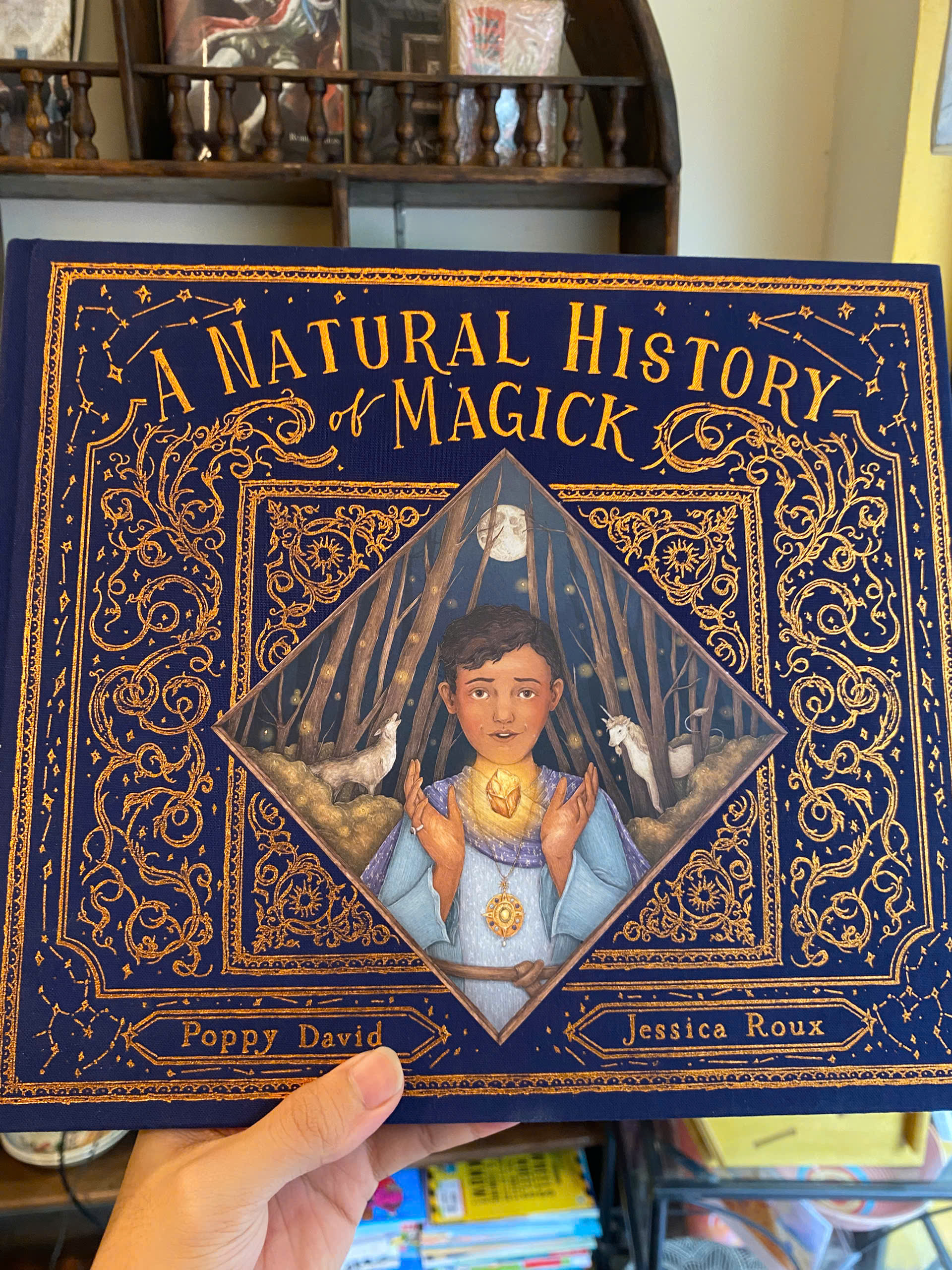 Sách - A Natural History of Magick (Folklore Field Guides) by Poppy David | Children's Picture Book