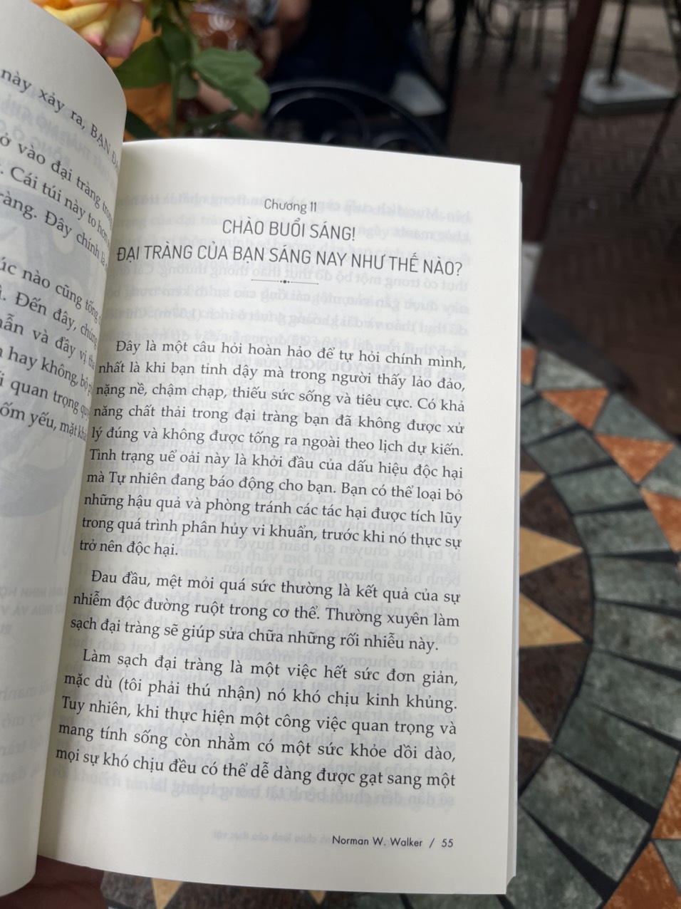 RAW VEGAN – Sức mạnh chữa lành của thực vật – Norman W. Walker – Lê Nhung dịch – SKY Books – AZ Vietnam – NXB Thế Giới