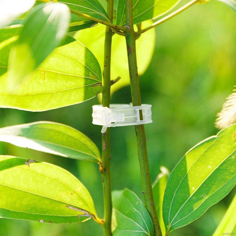 Bộ 50 kẹp cây bền, hỗ trợ làm vườn