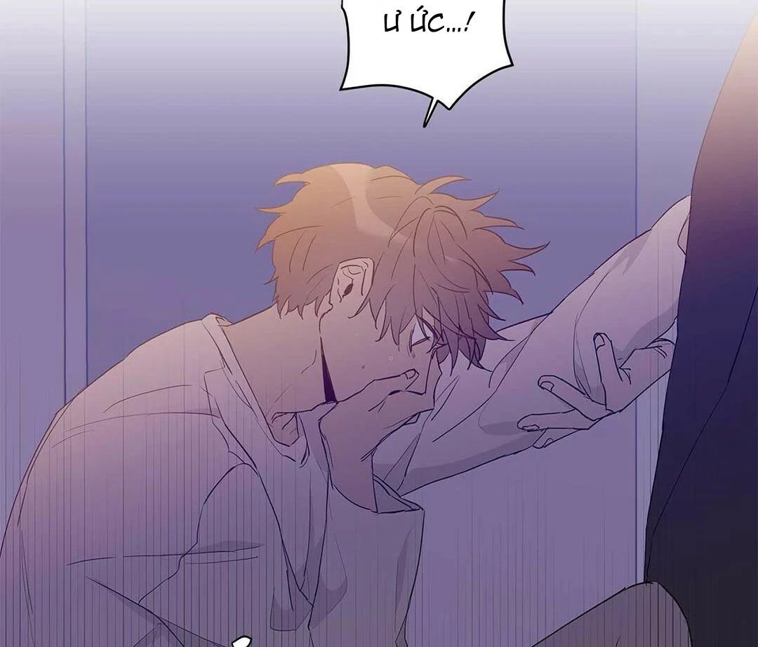 guide cấp b chapter 20 85