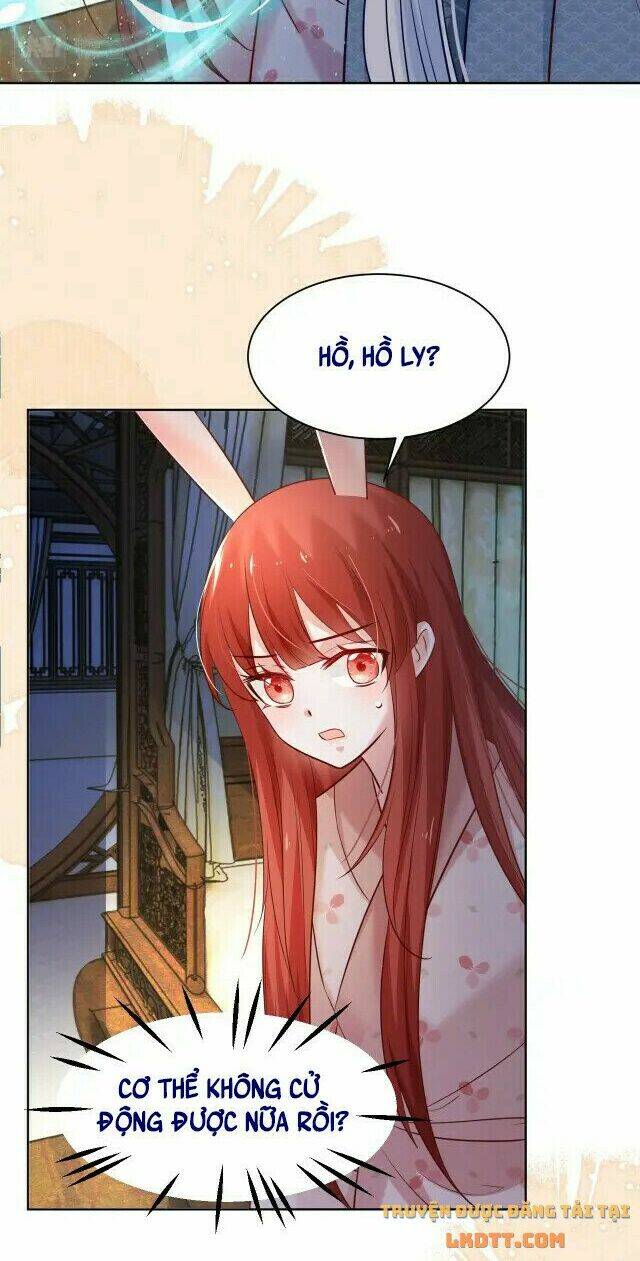 hắc hóa nam chính trực tuyến nuôi thỏ chapter 43 13