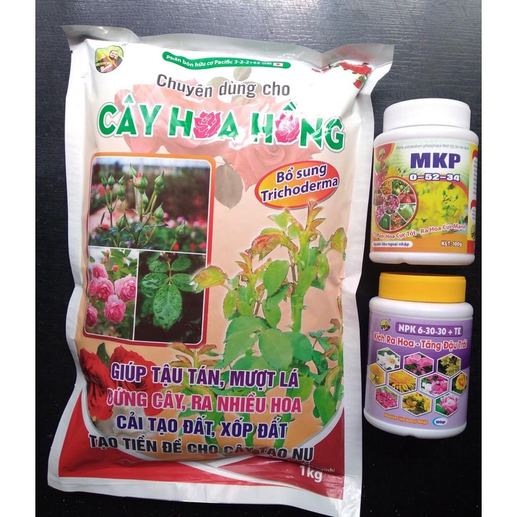 Bộ 3 phân bón kích nụ cho cây Hoa Hồng