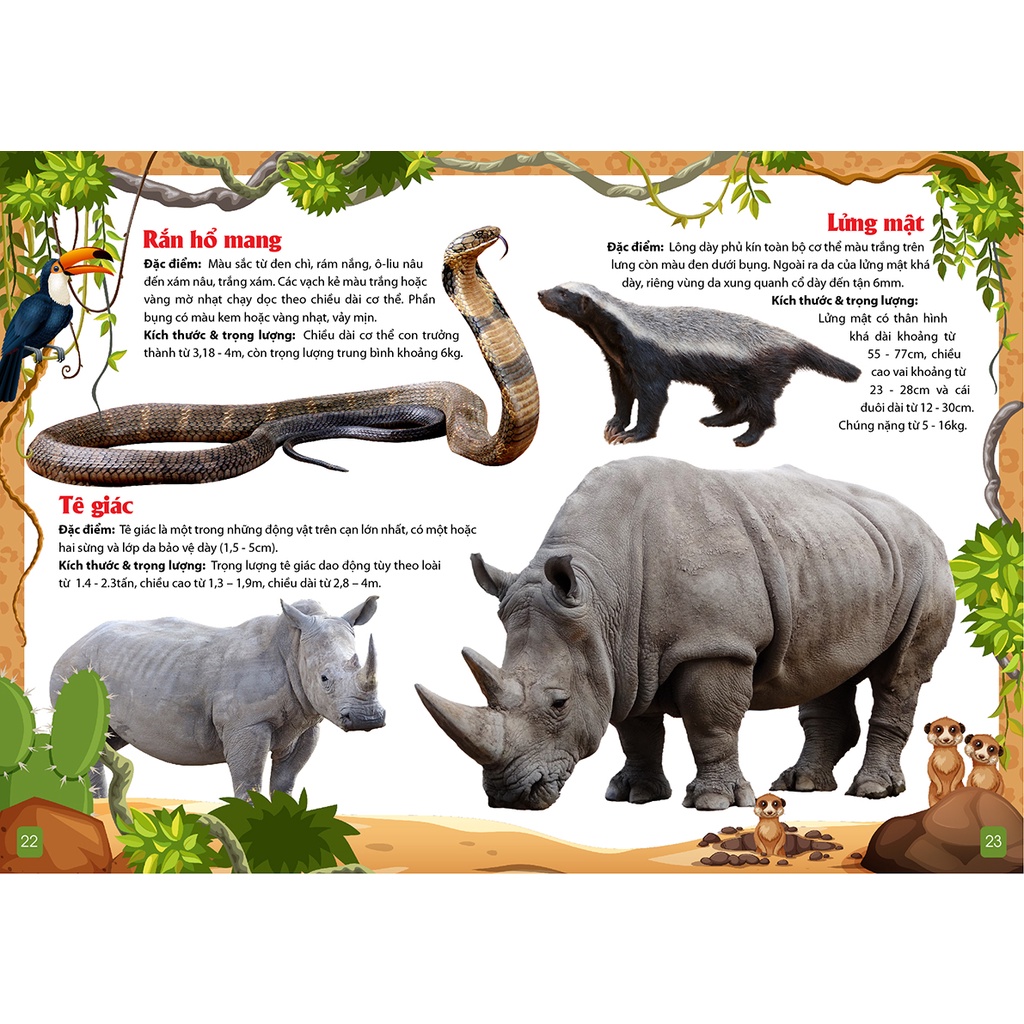 Khám Phá Động Vật 5 Châu Châu Phi -