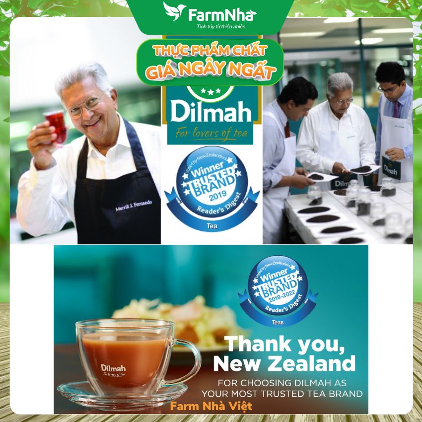 Trà Dilmah Orange & Ginger Vị Cam Gừng túi lọc 30g 20 túi x 1.5g - Tinh hoa trà Sri Lanka