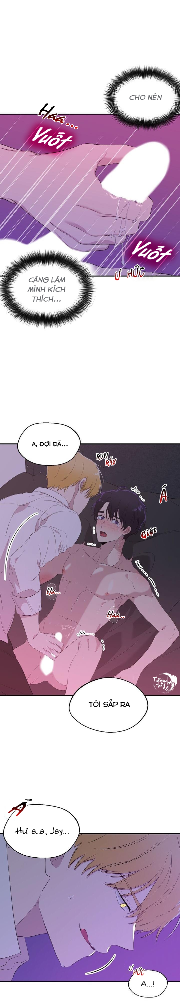 hoa ly hổ chapter 11 10