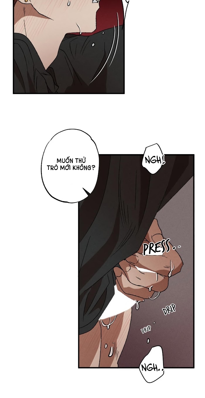 bẫy kép chapter 9 11