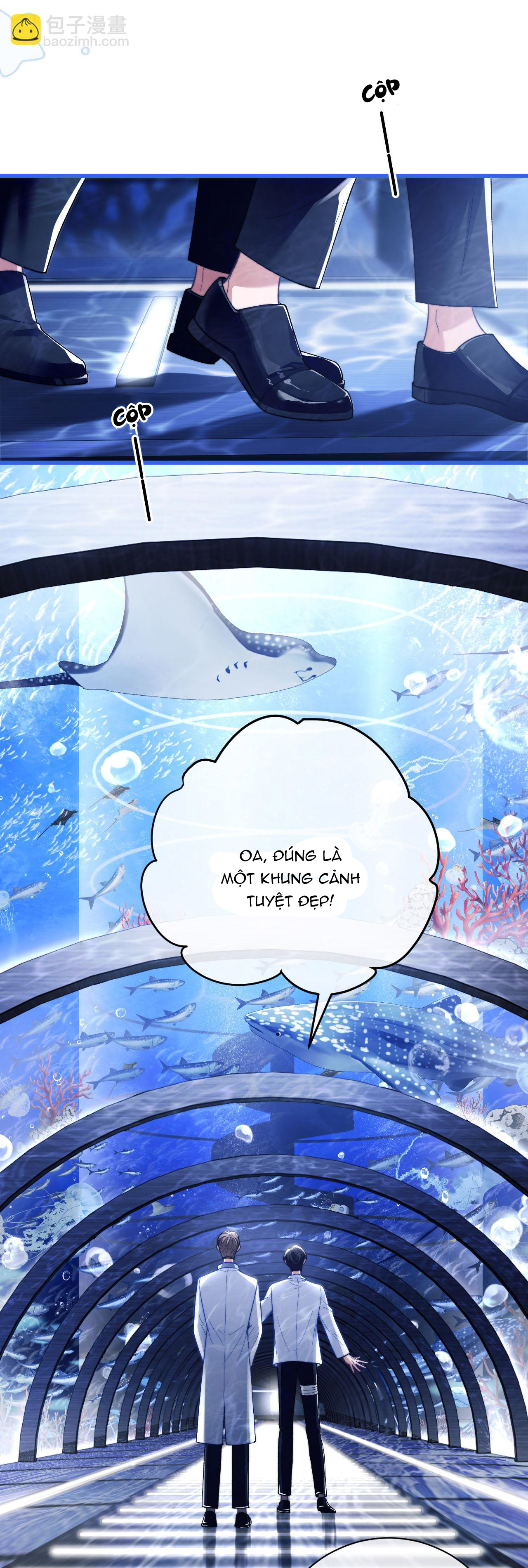 nhân ngư dessaro chapter 9 16