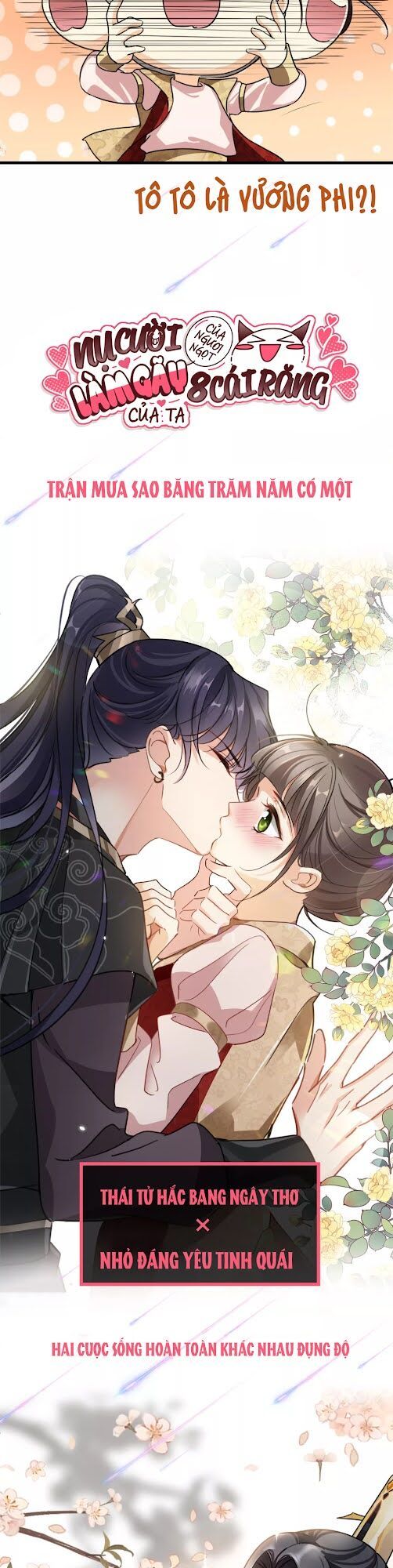 Nụ Cười Của Ngươi Ngọt Đến Mức Làm Gãy Tám Cái Răng Của Ta chapter 0 12