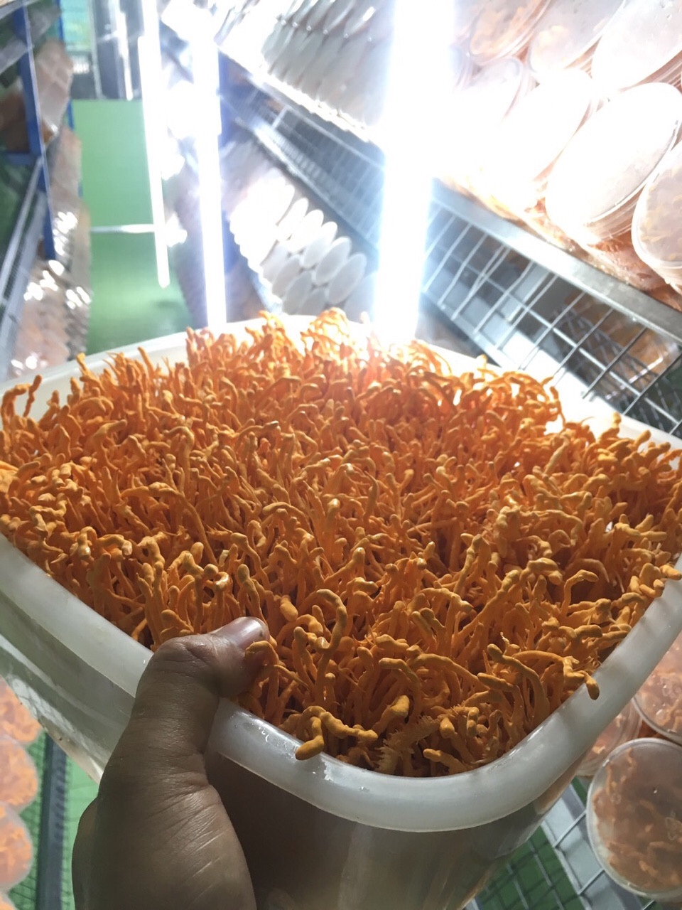 ĐÔNG TRÙNG HẠ THẢO TƯƠI 170G - 200G
