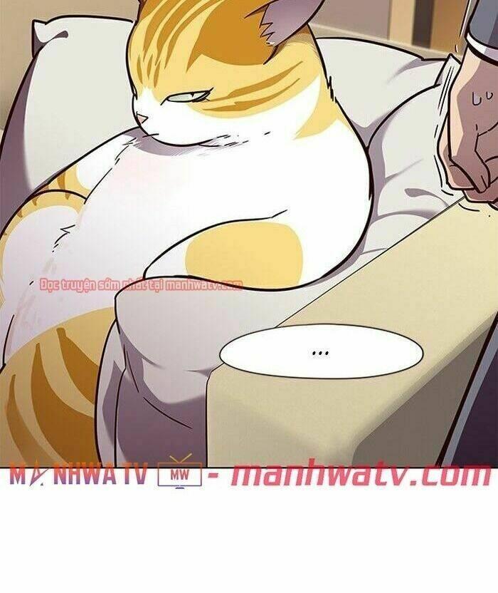 biến thân thành mèo chapter 49 78