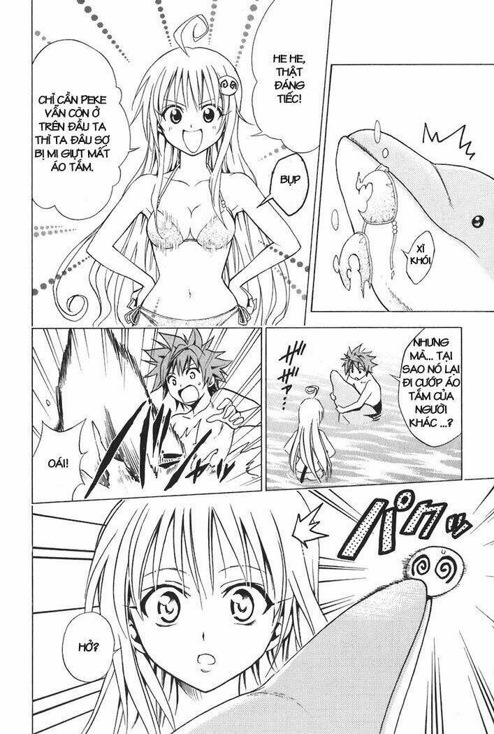 bọn tớ thích cậu! rito chapter 17 25