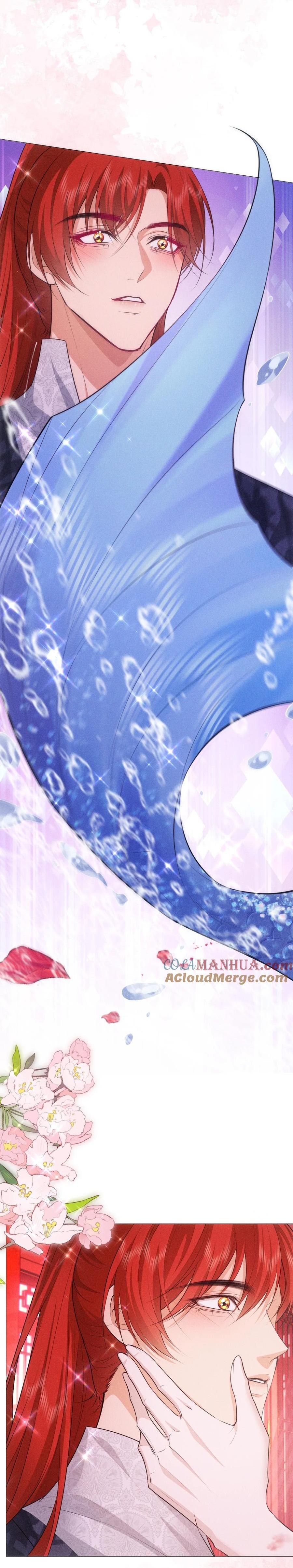 hỉ sự của đế quân chapter 16 7