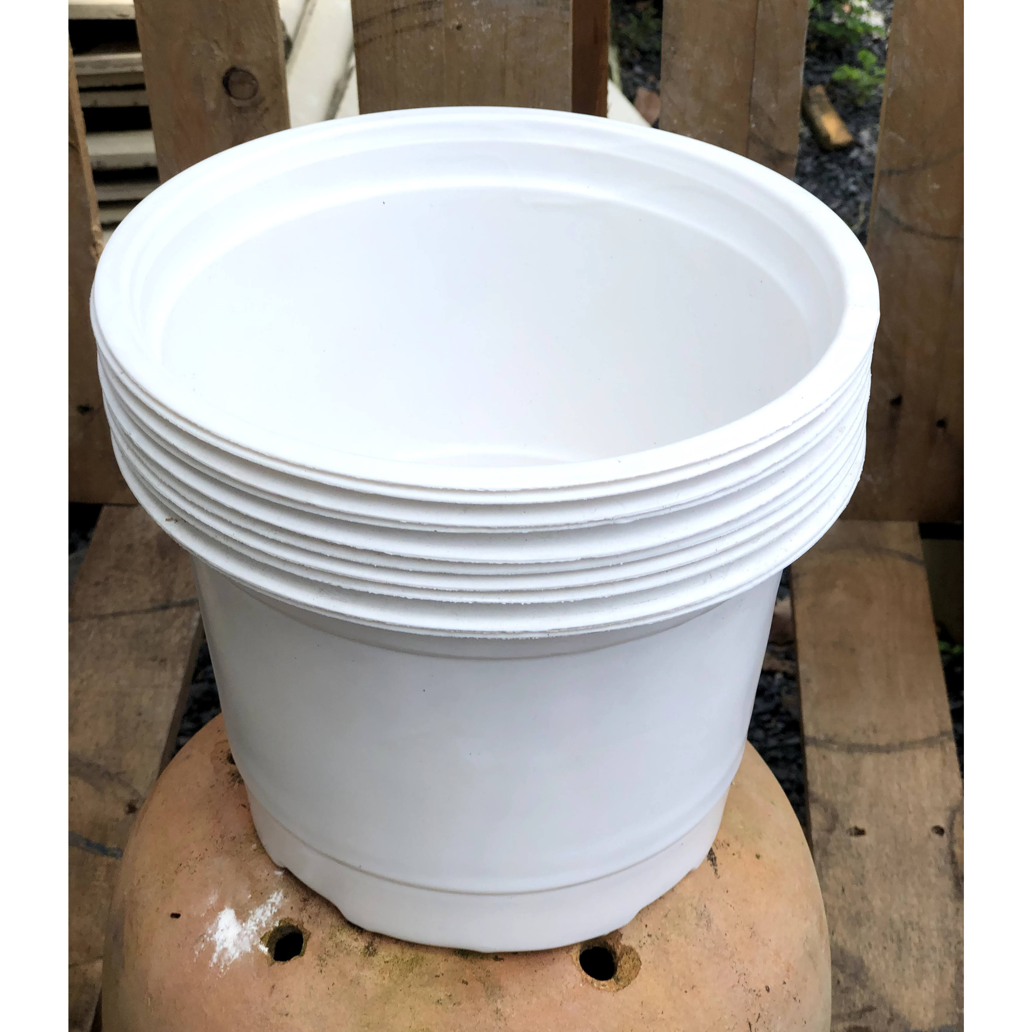 Bộ 10 chậu trồng cây màu trắng kích thước fi 230 x 160 mm