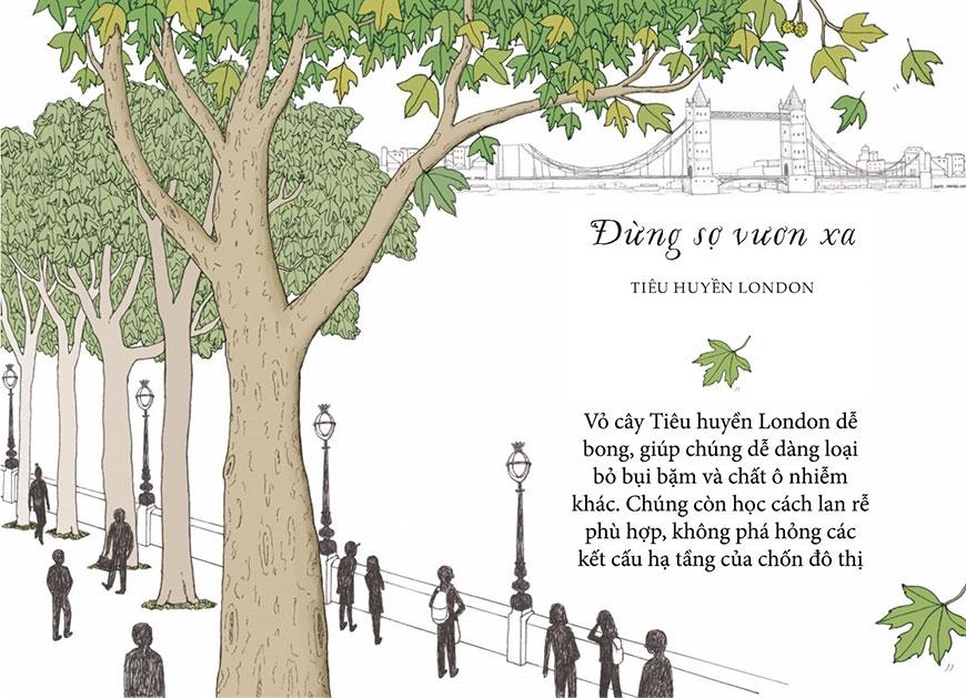 Sống Như Những Cái Cây - Những Bài Học Nhỏ Để Có Nguồn Hạnh Phúc Bất Tận (Tái Bản 2021)