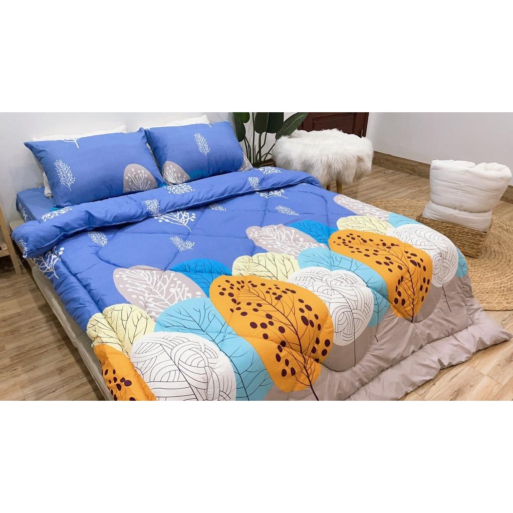 Sét chăn ga bọc đệm cottong poly 5 món nhiều kích thước