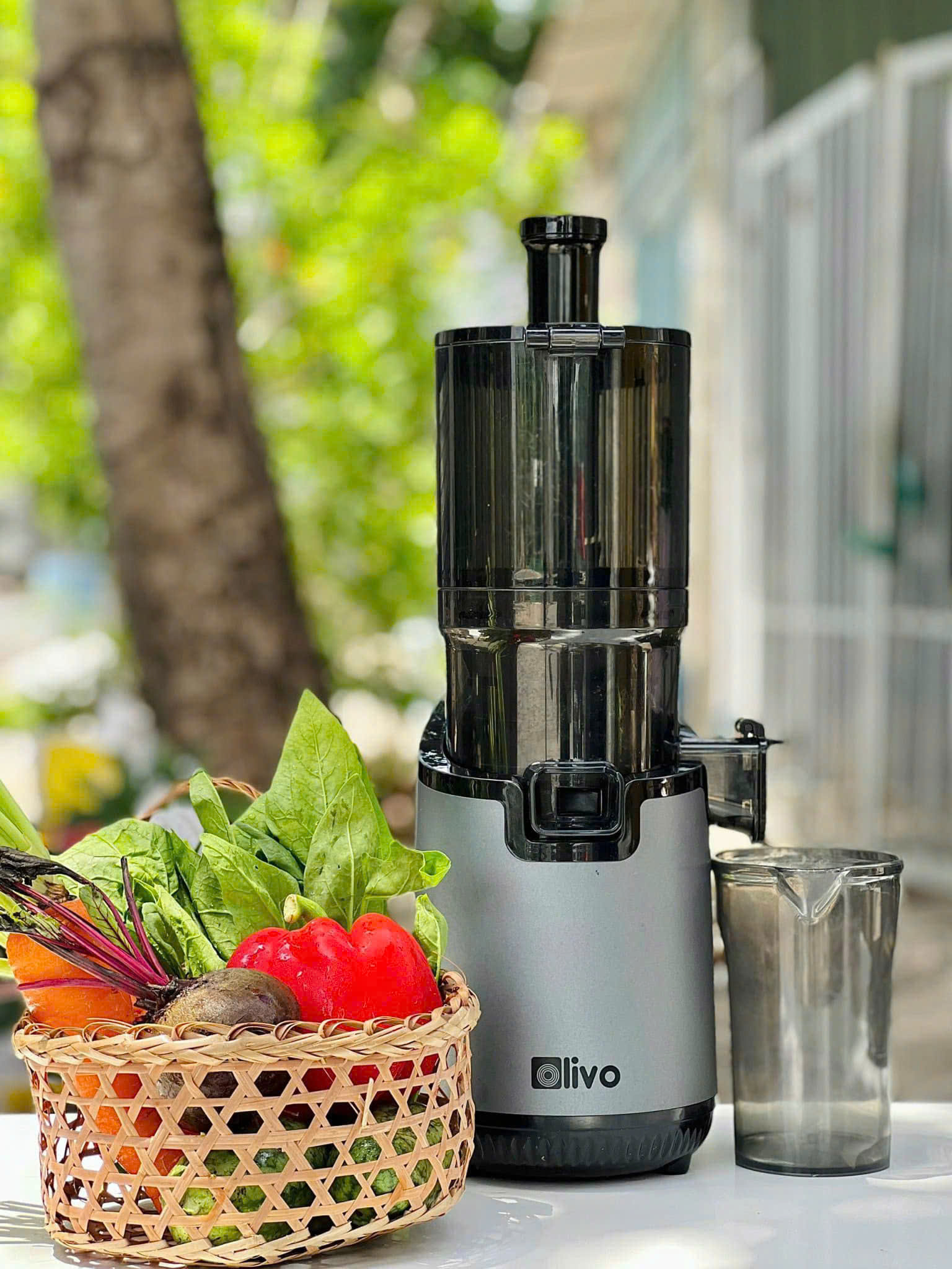 [Hàng chính hãng] Máy Ép Chậm OLIVO SJ196 Titanium - Ép Trái Cây Nguyên Quả - Động Cơ AC Cao Cấp, Êm Nhất Thị Trường