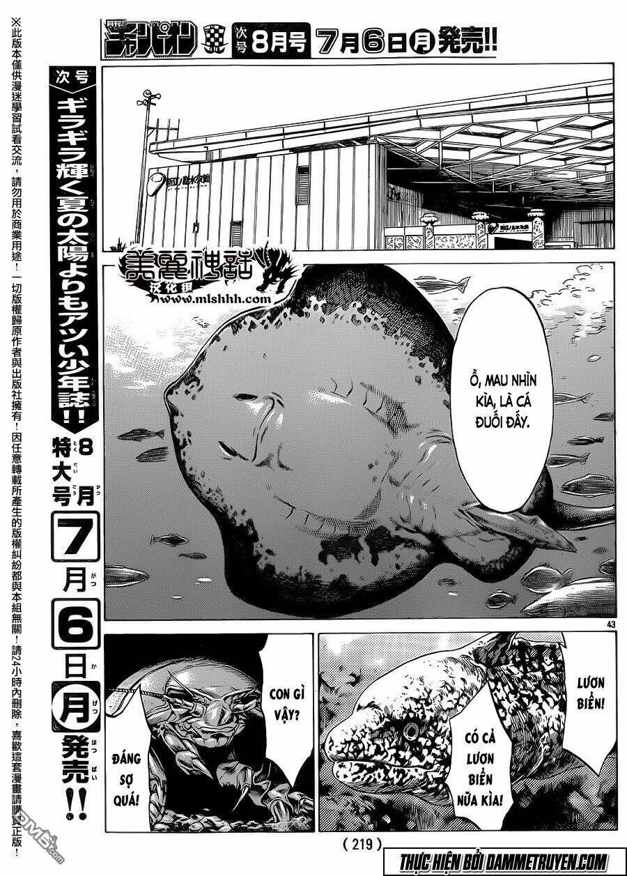 shonan seven chapter 18 39