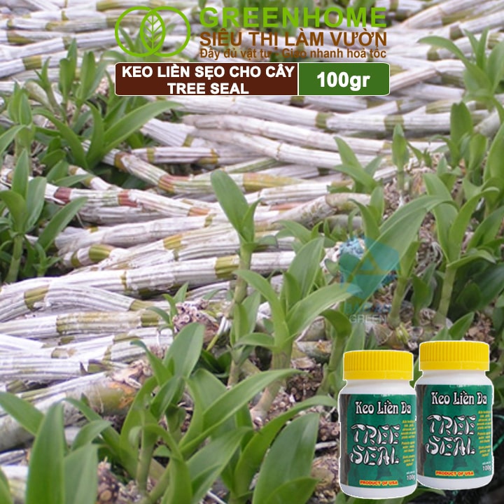 Keo Liền Sẹo Cho Cây Greenhome, Tree Seal, Chai 100gr, Liền Nhanh Vết Cắt Da Cây, Chiết Cành