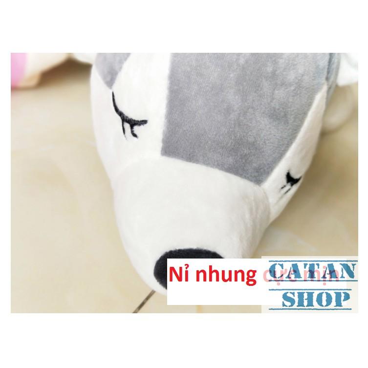 Gấu bông kèm mền, Gối mền chó Husky khăn quàng đỏ dai 60cm , nỉ nhung cực mịn