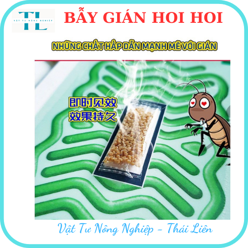 Bẫy gián Hoi Hoi hộp 3 miếng