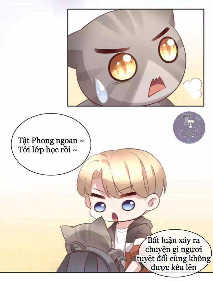 dưới móng vuốt mèo chapter 21 22