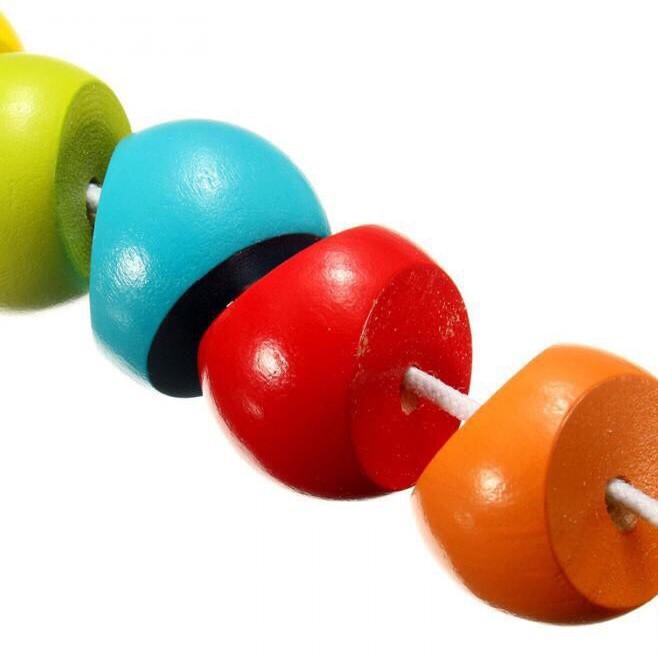 SÂU GỖ 7 MÀU UỐN DẺO