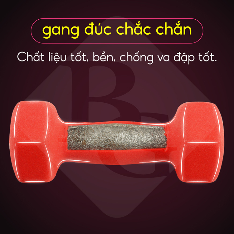 Bộ 2 tạ tay cao cấp Tập Gym BG 4kg