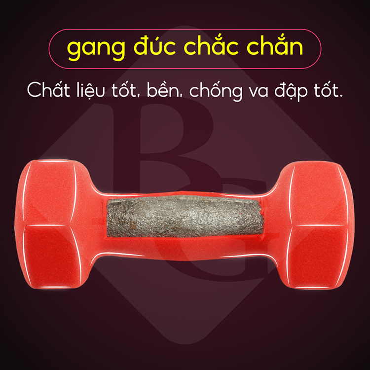 Bộ 2 tạ tay cao cấp Tập Gym BG 4kg (hàng nhập khẩu)