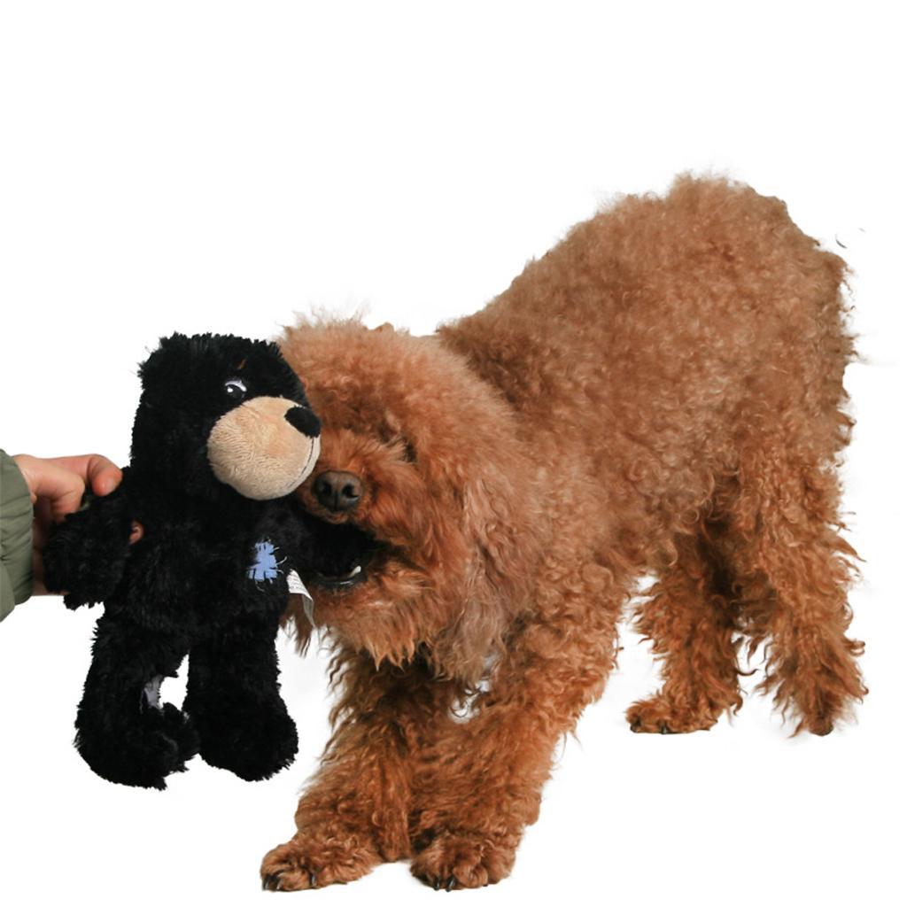 Cute Bear Design Dog Chew Squeaky Plush Toy Pet Bite Resistance Toy Black