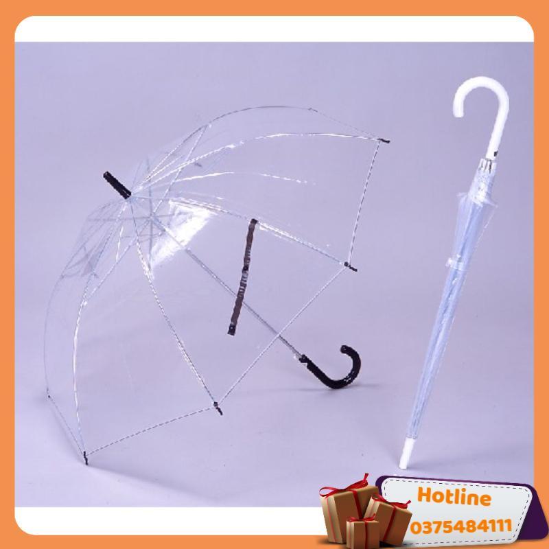 Dù Trong Suốt - Màu Trắng - Hàng Loại 1