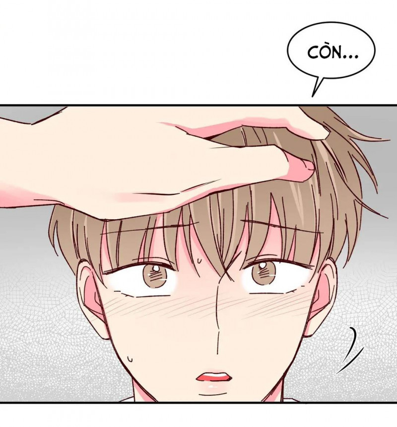 món tráng miệng của sếp tổng chapter 45 17