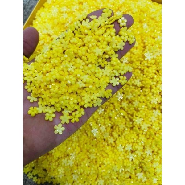 Sét hoa mai vàng mix size