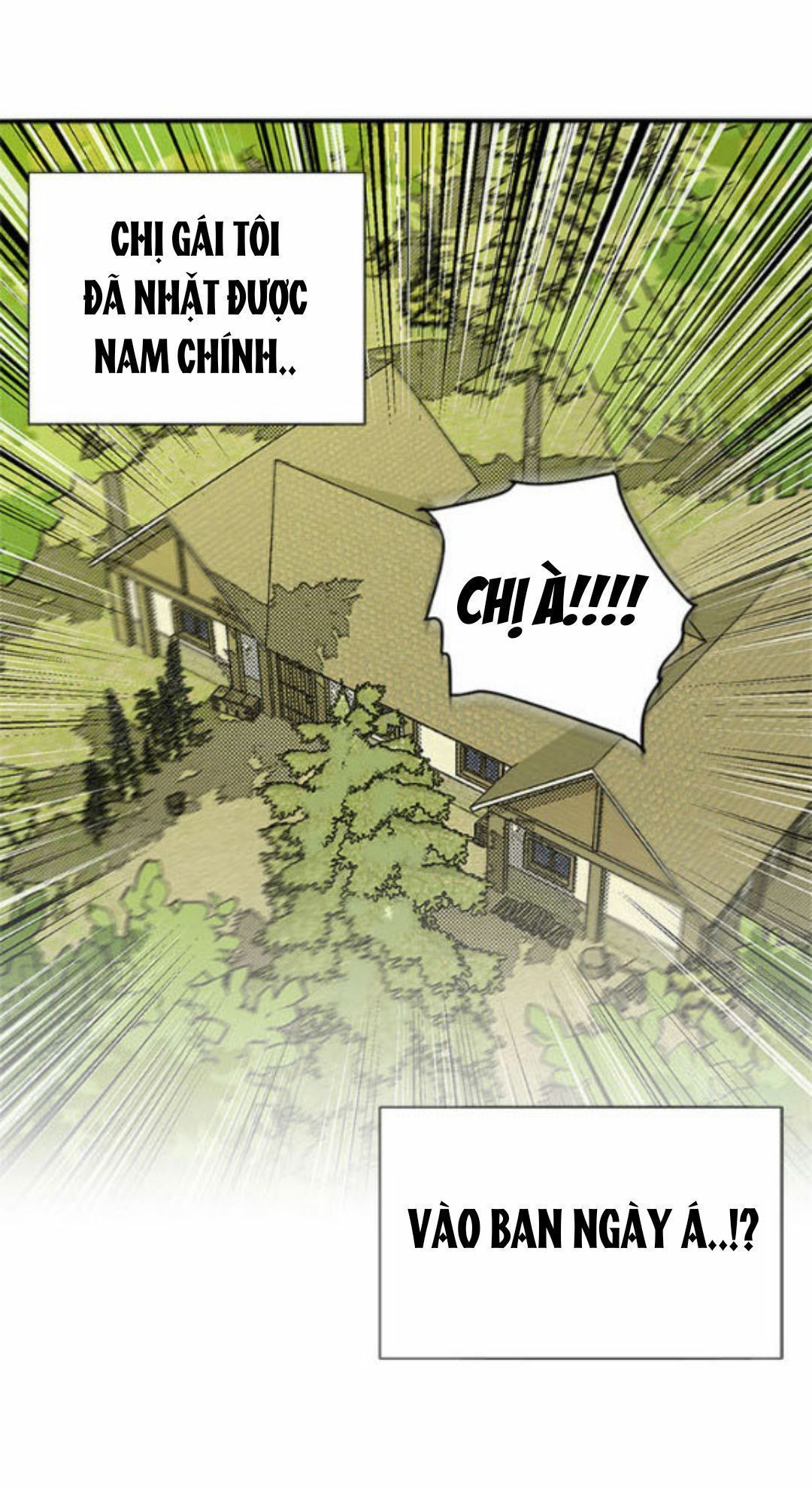 chị tôi đã nhặt về một nam chính quyến rũ chapter 1 8