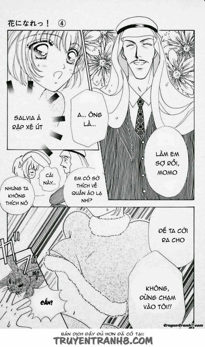 hana ni nare chapter 23 25