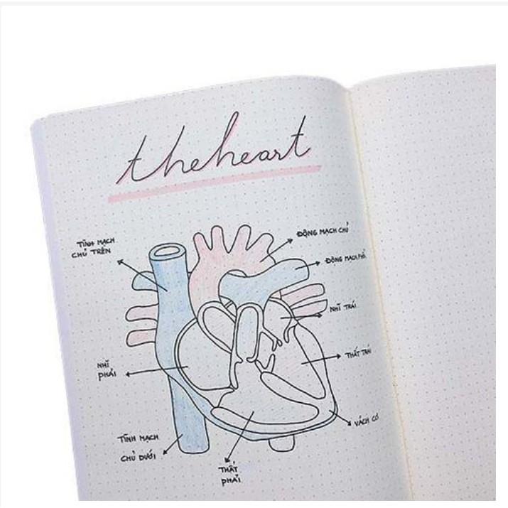 Combo 3 Vở Crabit Dotted Notebook - Vở Kẻ Chấm Bi - Màu vàng