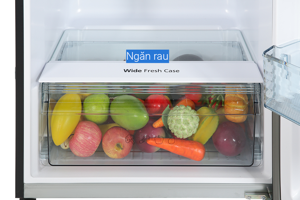 Tủ lạnh Panasonic Diệt Khuẩn 366L NR-TL381GVKV Lấy Nước Ngoài Kháng Khuẩn -  Bộ Cảm biến Econavi - Ngăn Đá Trên - Hàng Chính Hãng