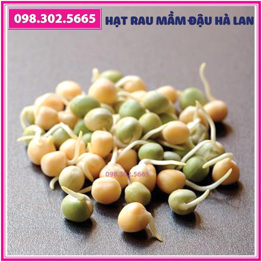 Bộ 10 gói Hạt rau mầm đậu hà lan - gói 90g - Trồng rau mầm sạch, rau mầm hữu cơ an toàn tại nhà