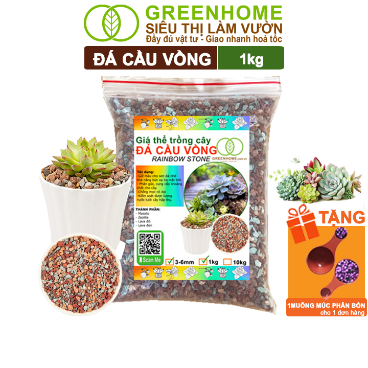 Đá Cầu Vồng Trồng Sen Đá Greenhome, Bao 500Gr, Kích Rễ, Đậm Màu, Thoát Nước Tốt, Trộn Đất, Rải Bề Mặt Đều Tốt - Đá Cầu Vồng 1Kg