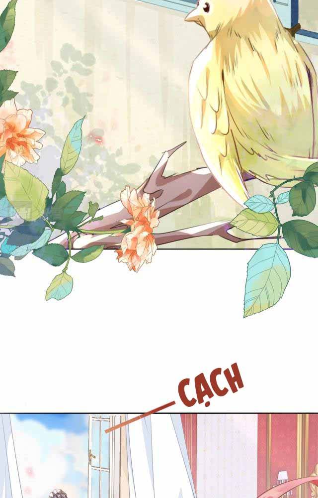 ma pháp của công chúa amy chapter 2 3