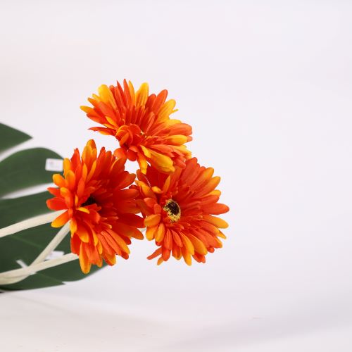Combo HOA ĐỒNG TIỀN, Hoa Giả, Hoa Lụa, Hoa trang trí bền đẹp