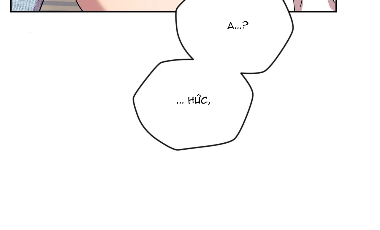 tiêu chuẩn tình yêu 100% chapter 4 101