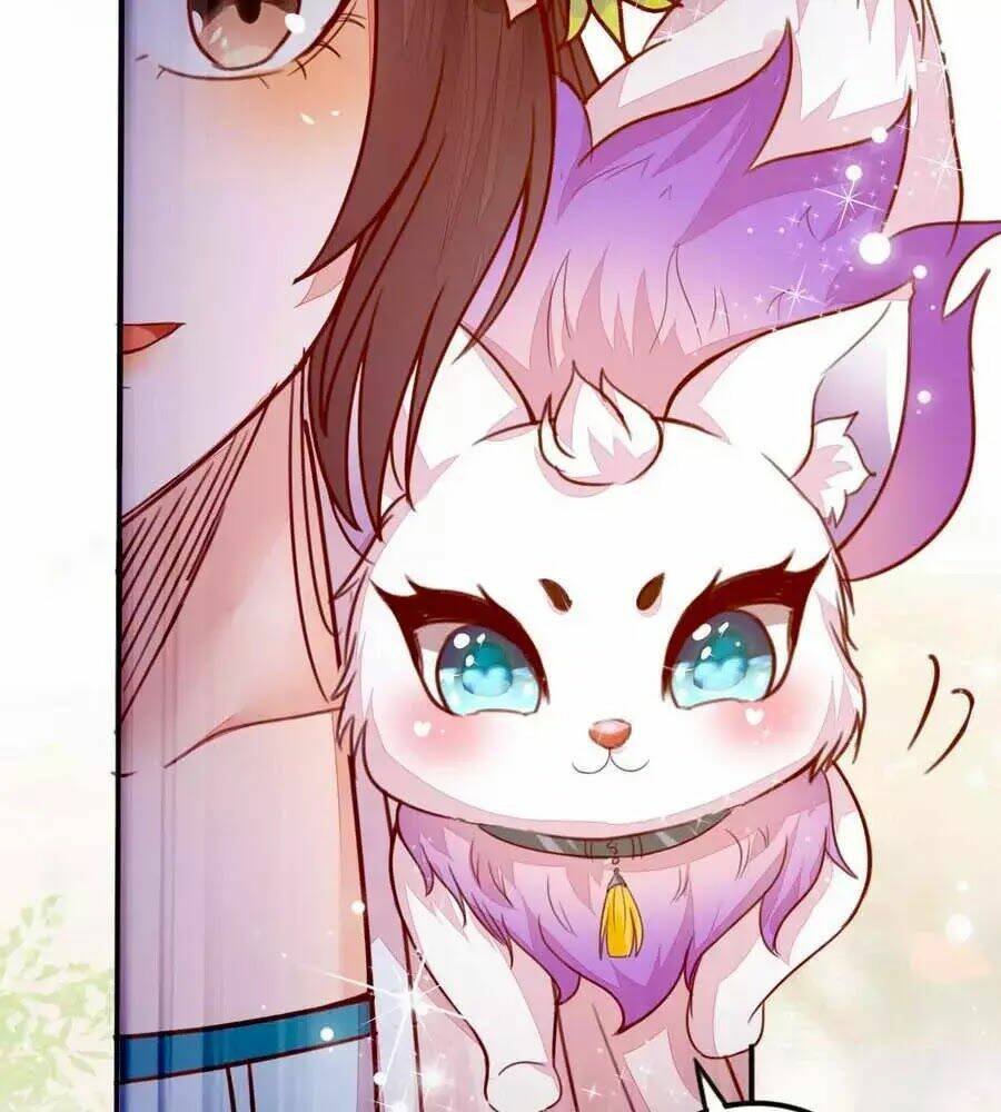 thần y khí nữ: ngự thú cuồng phi của quỷ đế chapter 62 8