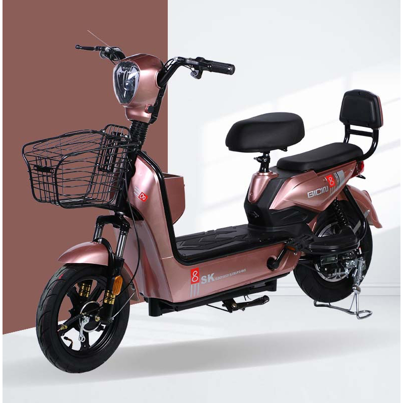 XE ĐIỆN SK8