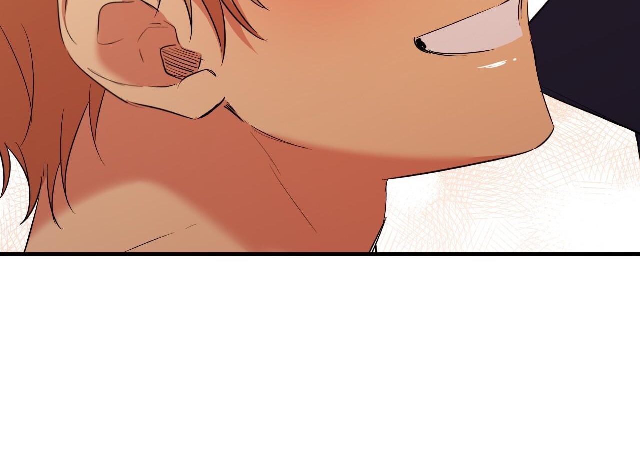 những chú thỏ của hapypy chapter 63 61