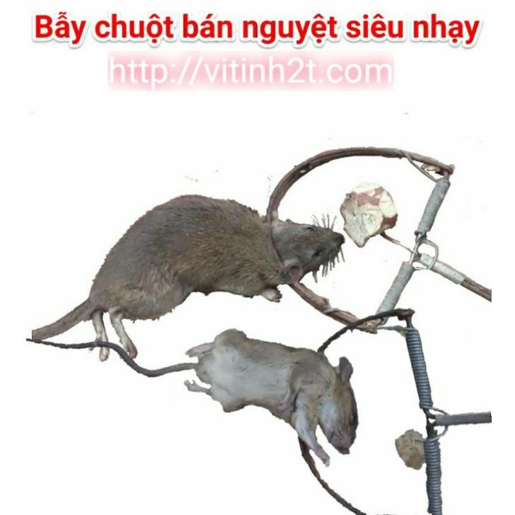 Bẫy chuột bán nguyệt siêu nhạy