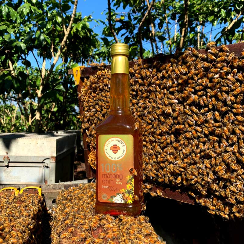 Combo Mật ong rừng Cao Nguyên - 100% mật ong chín Honimore 990g