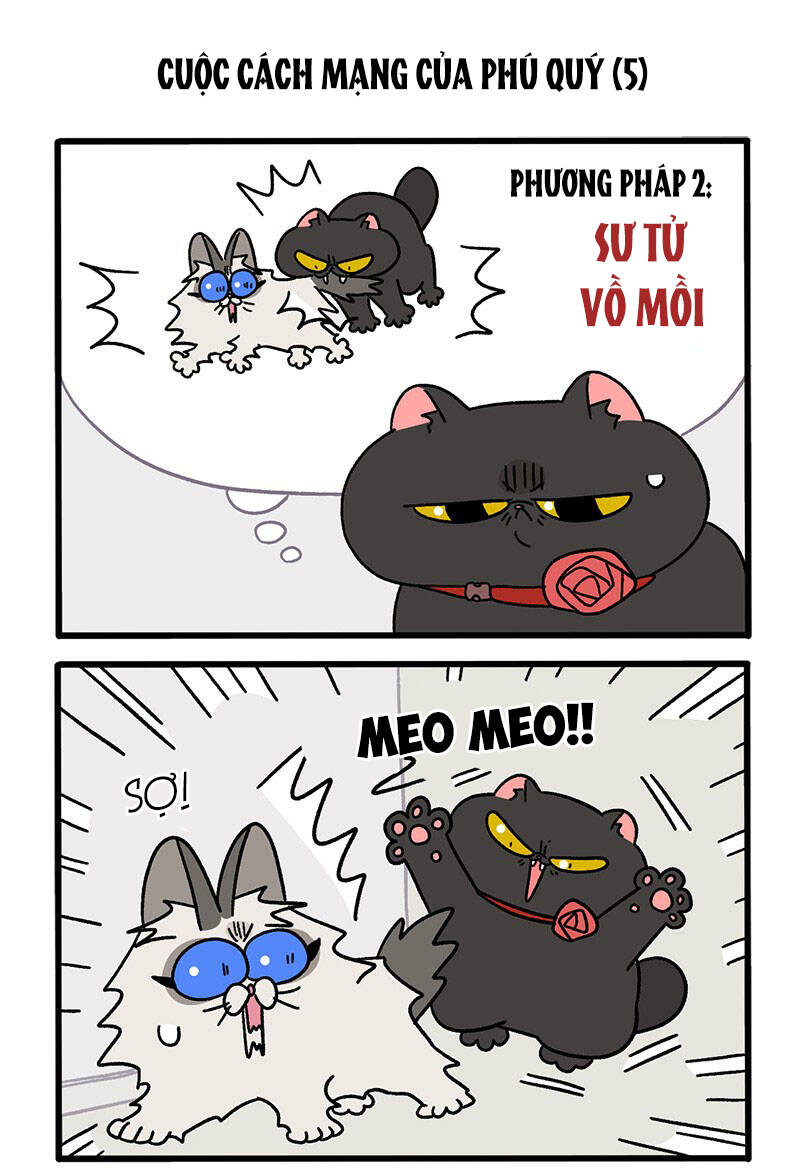 a mãn và mạch trà chapter 31.1 3