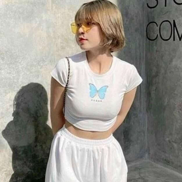 Áo croptop thêu hình bướm nhỏ