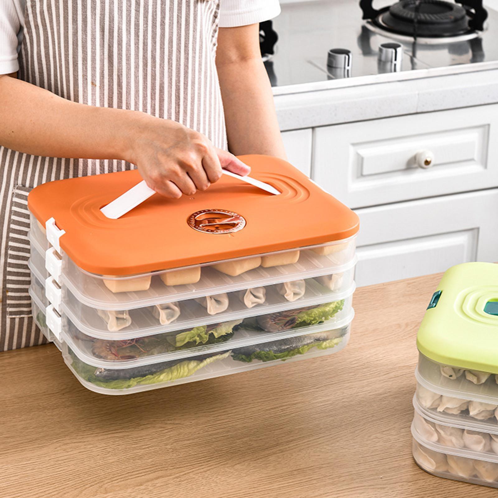 Large Dumpling Storage Container Food Containers Leakproof Box Crisper for Eggs Meat